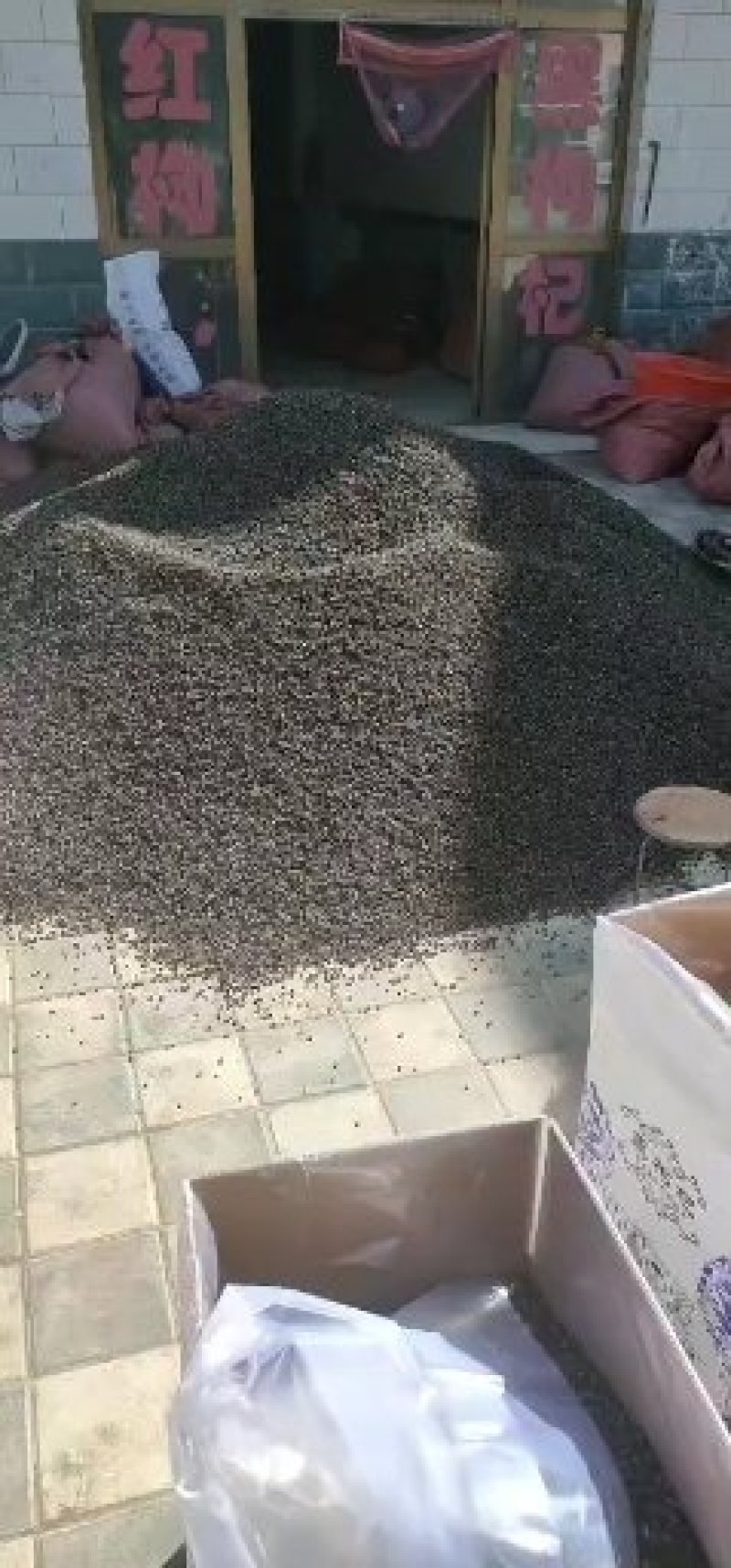 随时可聊正宗好枸杞长期供货健康之选品质保障