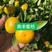 正宗大量桂林全州各种橘子上市了