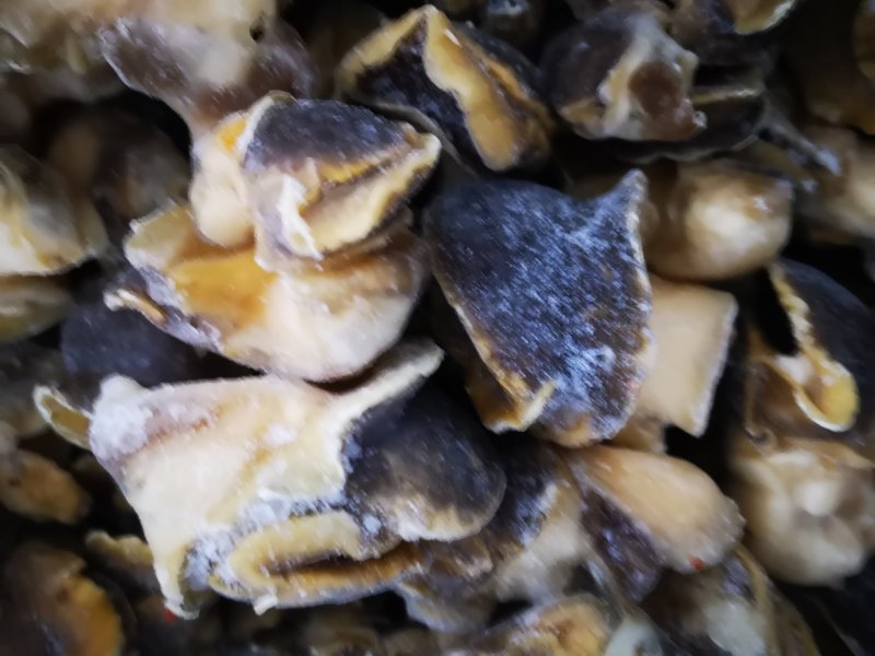 沙螺肉