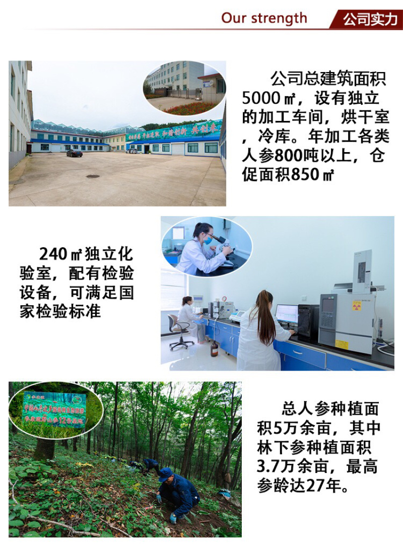纯无糖红参条干度好参味浓郁可免费帮忙切片