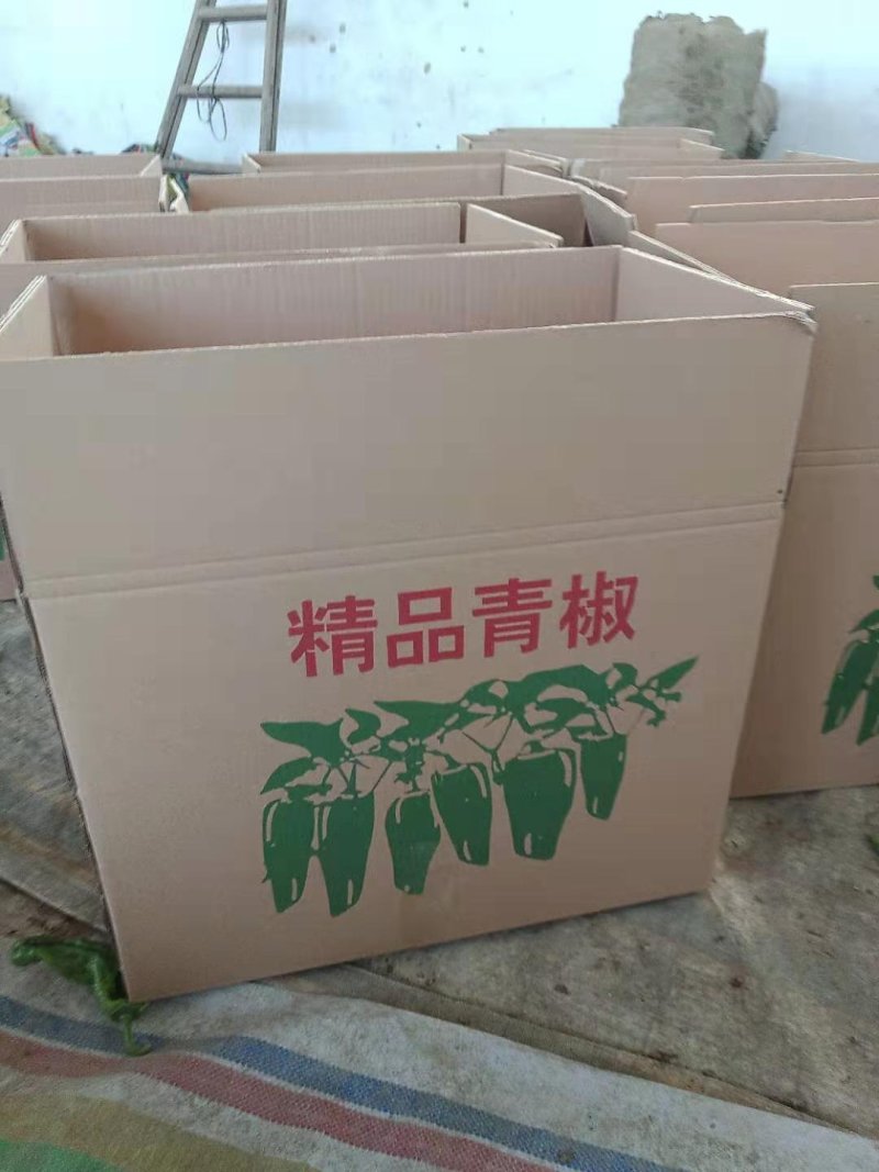 薄皮辣椒，产地代发，安徽鲜辣椒，货源充足，诚信经营