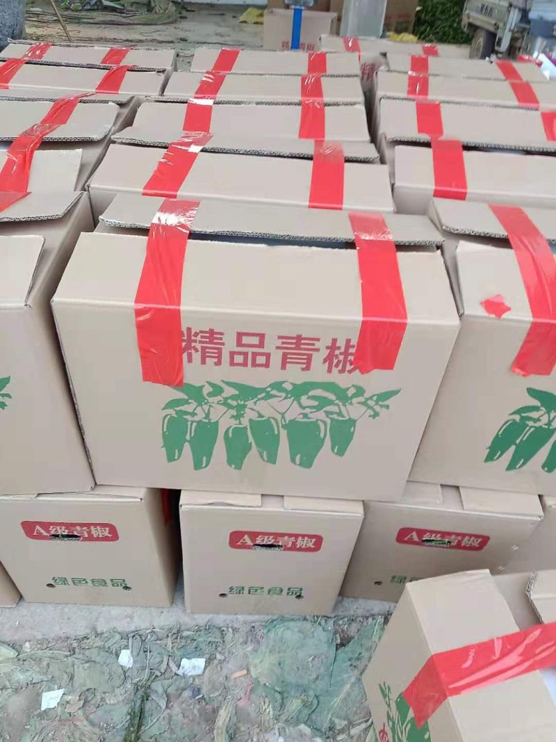 薄皮辣椒，产地代发，安徽鲜辣椒，货源充足，诚信经营
