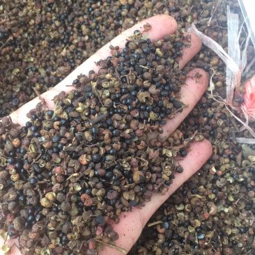 土花椒新货土花椒野花椒量大包邮中药材