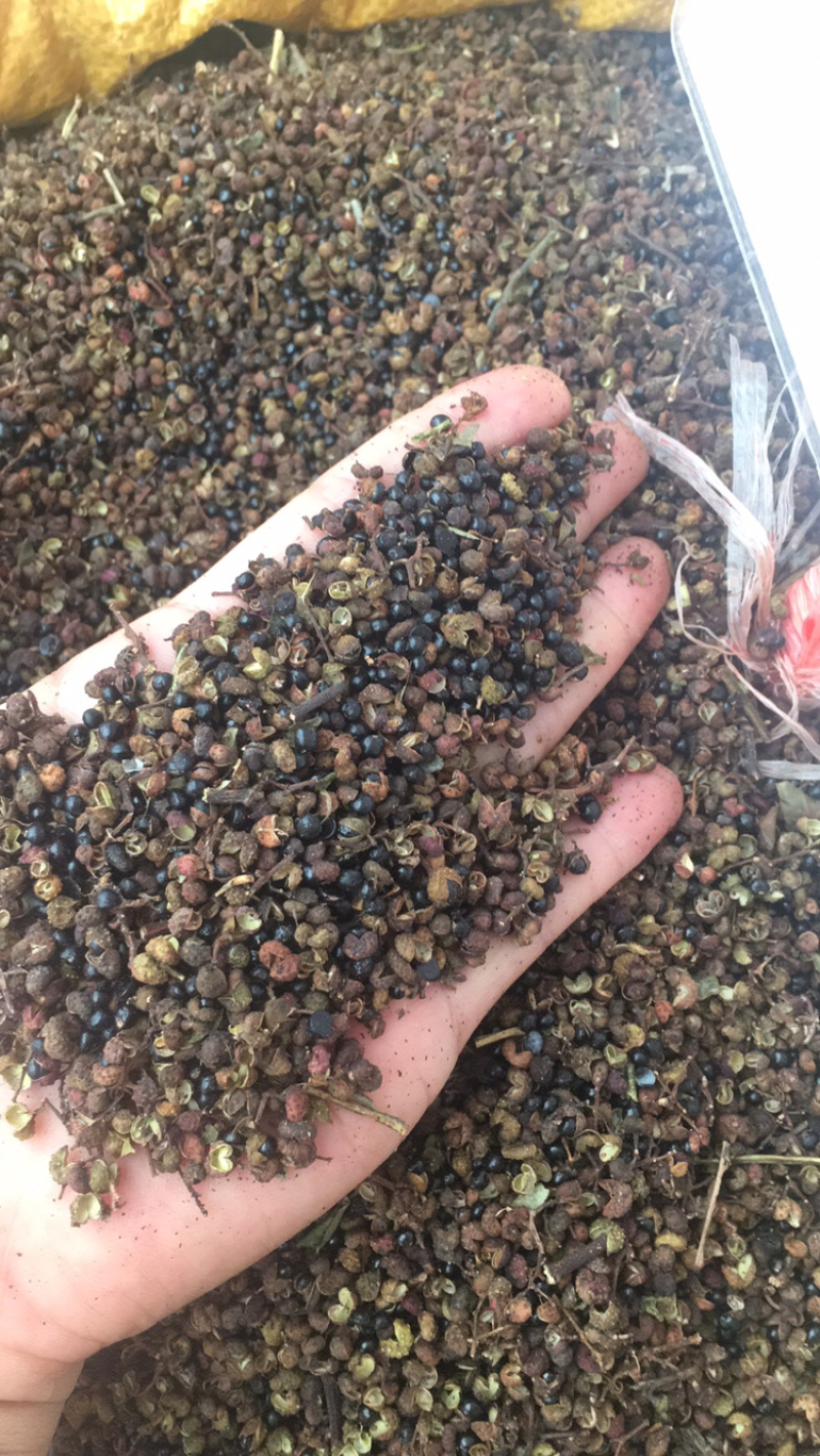 土花椒新货土花椒野花椒量大包邮中药材