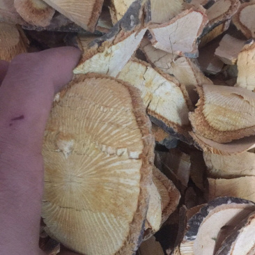 黄藤黄藤片量大包邮中药材