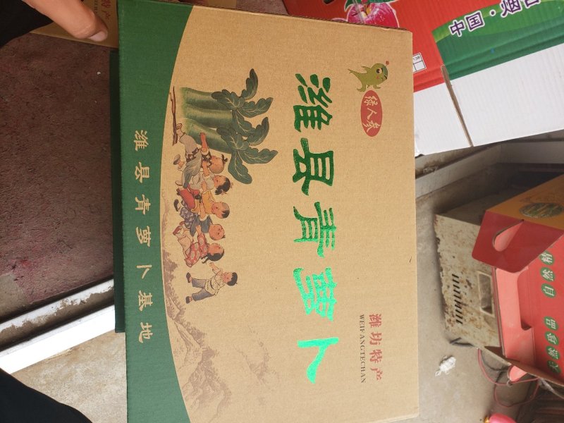 潍县萝卜，口感脆甜，味道正宗，大面积供应全国的客户！