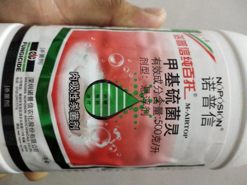 内吸性杀菌剂纹枯病枯萎病