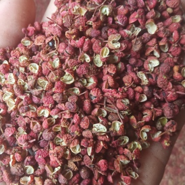 大红袍花椒一级干