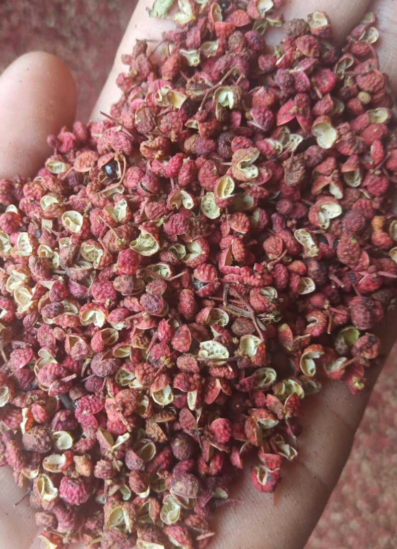 大红袍花椒一级干