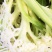 白面青梗松花菜散花2~3斤乳白基地直发，市场商超专