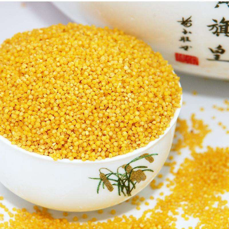 河北丰宁黄旗小米