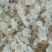 缅甸雪燕