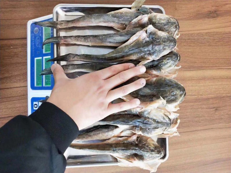 特别好的海捕胖头鱼干