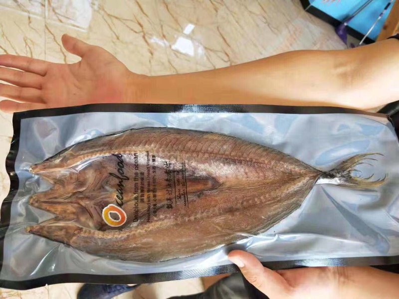 辽宁东港深海海捕新鲜鲅鱼干