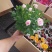 玫瑰花