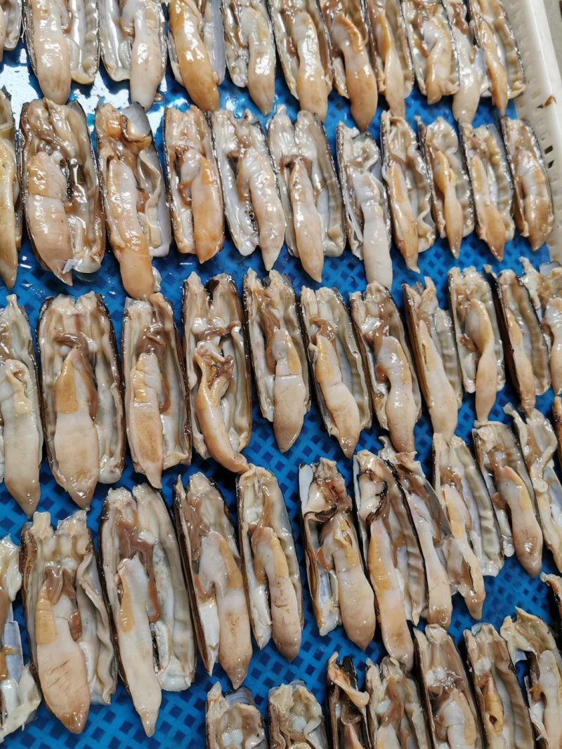 辽宁东港新鲜加工无沙蛏子肉