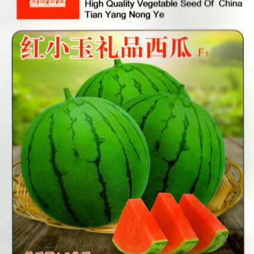 西瓜种子礼品西瓜红小玉