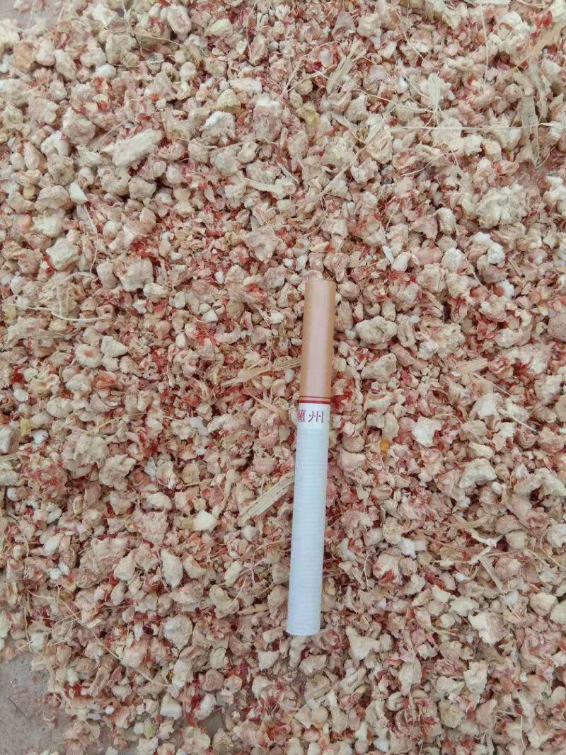 套环出菇圈食用菌设备菌袋套环玉米芯棉籽壳棉渣切碎稻草