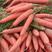 带叶三红胡萝卜产地直发包上车电商走市场加工厂水洗萝卜。