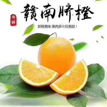星农精品果业