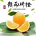 星农精品果业