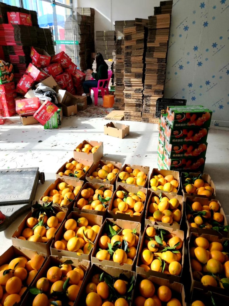 星农精品果业