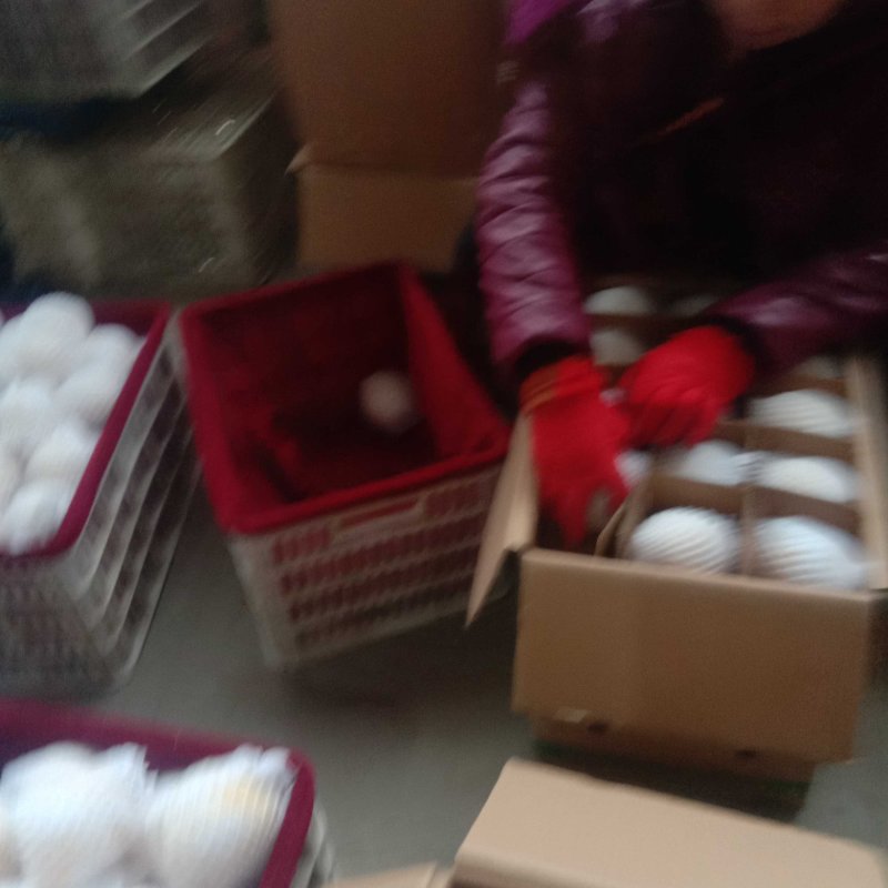酥梨砀山酥梨产地直销价格便宜商超品质市场商超档口电商