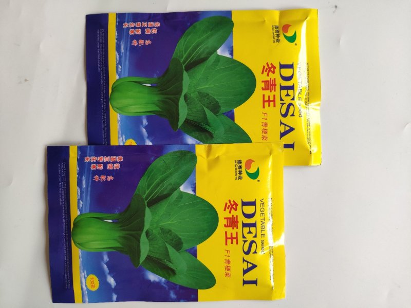 冬青王青梗菜青菜种籽油绿耐寒耐抽苔青菜