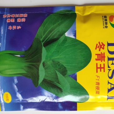 冬青王青梗菜青菜种籽油绿耐寒耐抽苔青菜