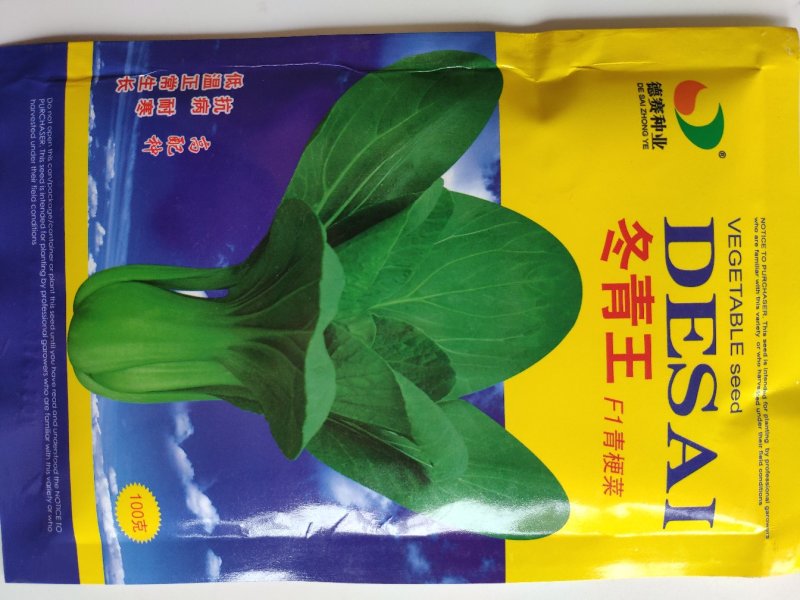 冬青王青梗菜青菜种籽油绿耐寒耐抽苔青菜