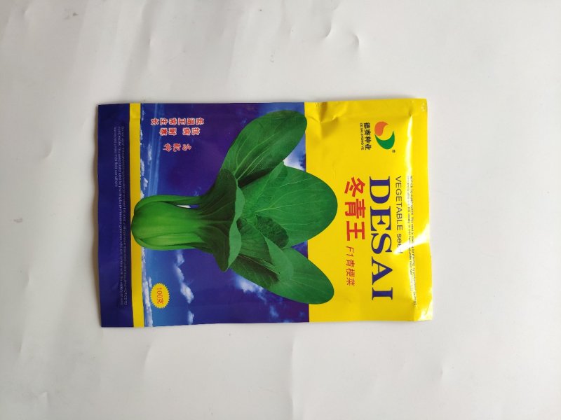冬青王青梗菜青菜种籽油绿耐寒耐抽苔青菜