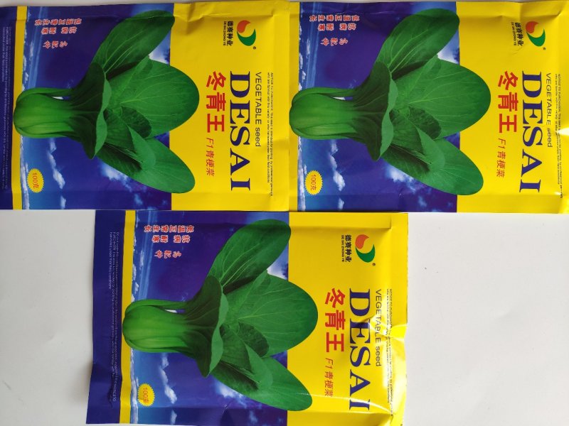 冬青王青梗菜青菜种籽油绿耐寒耐抽苔青菜