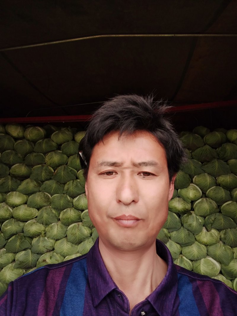湖南甘兰