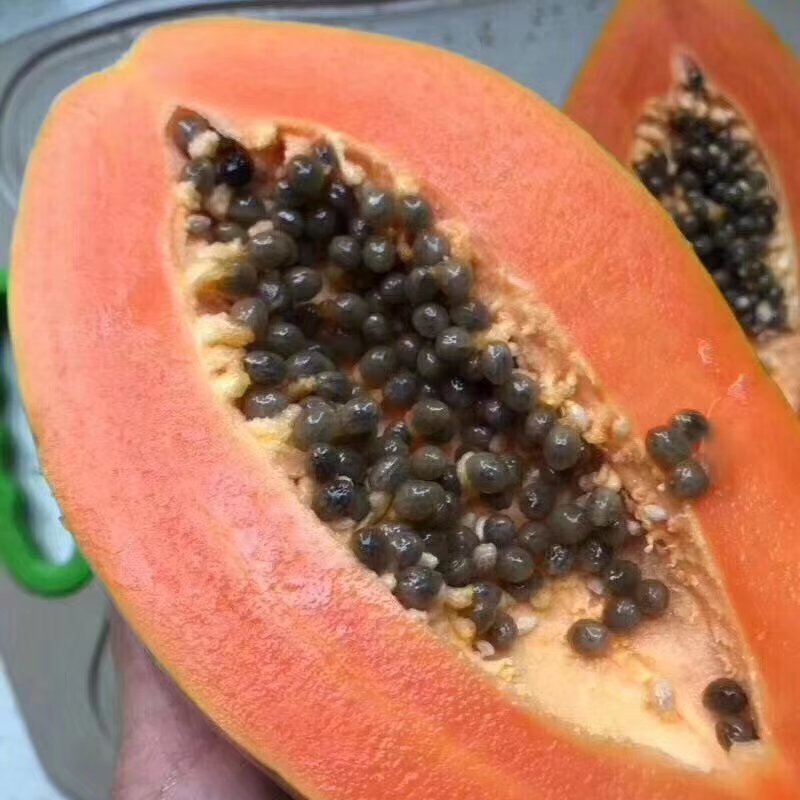 云南红心木瓜