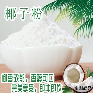 海南椰子粉.速溶椰子果粉批发，欢迎咨询！