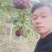 黑老虎布福娜果营养价值特别高果肉鲜美