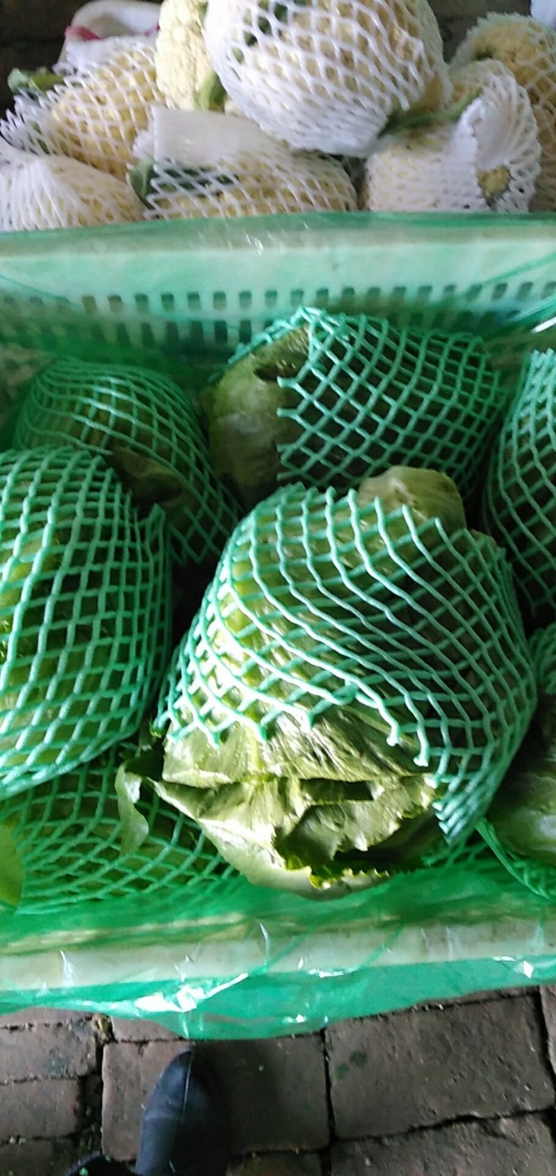 生菜球