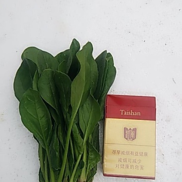 泡沫箱波菜大量上市需要的联系