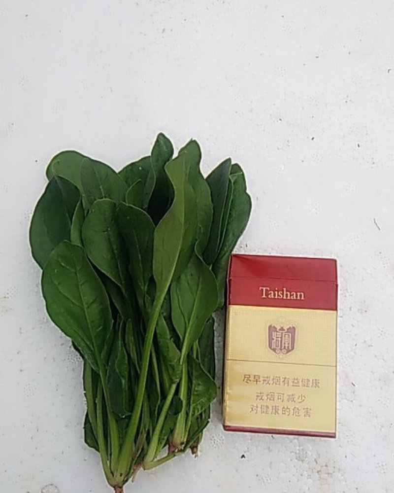 泡沫箱波菜大量上市需要的联系