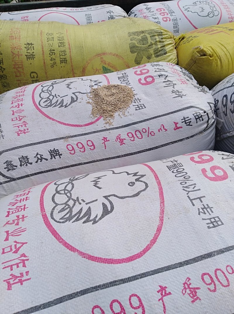 芝麻