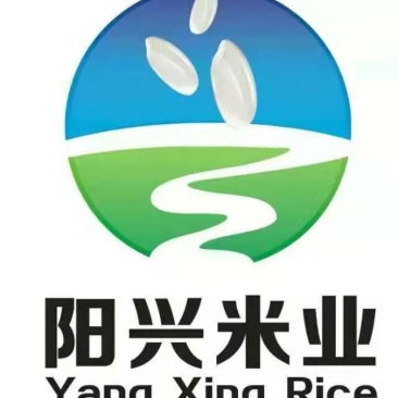 大米