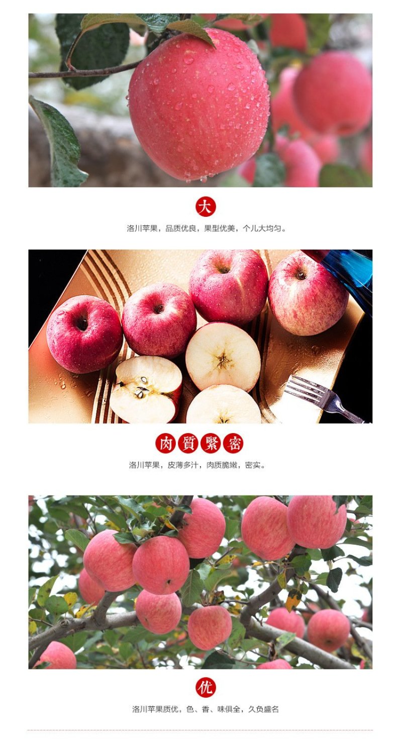 苹果🍎正宗陕西红富士精品洛川红富士苹果10斤包邮