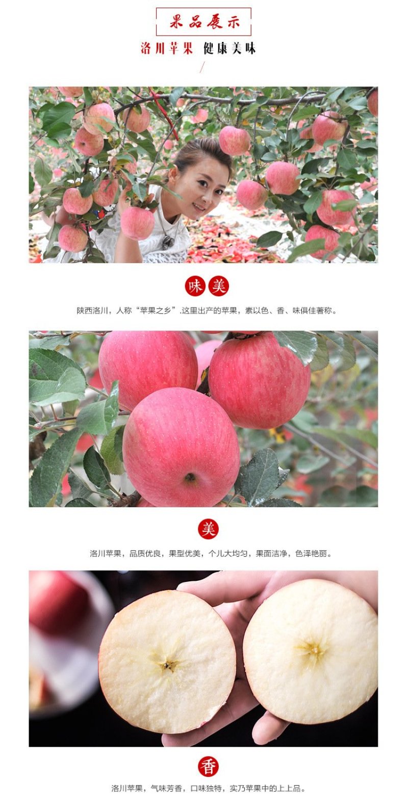 苹果🍎正宗陕西红富士精品洛川红富士苹果10斤包邮