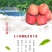 苹果🍎正宗陕西红富士精品洛川红富士苹果10斤包邮