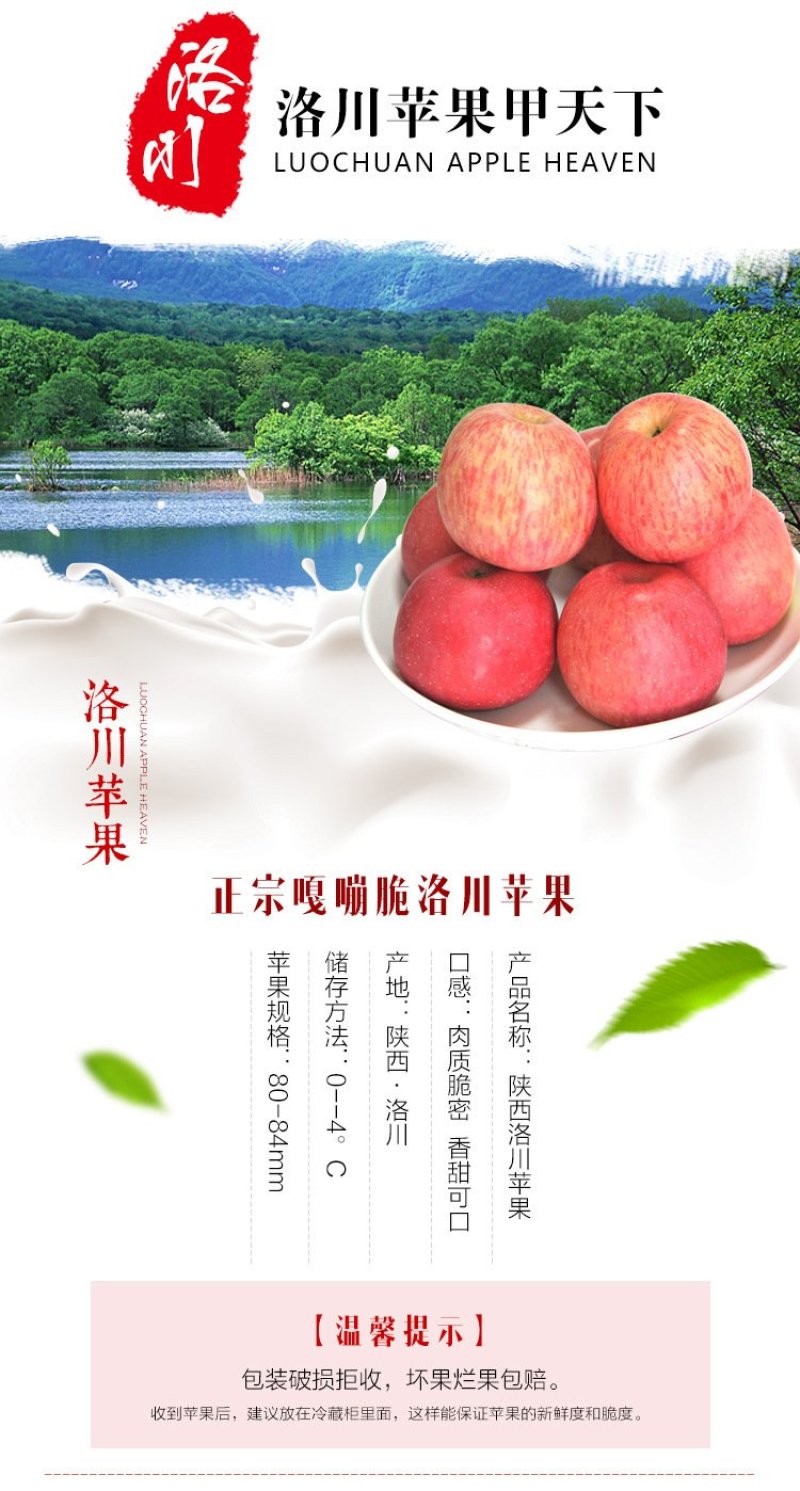 苹果🍎正宗陕西红富士精品洛川红富士苹果10斤包邮