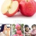 苹果🍎正宗陕西红富士精品洛川红富士苹果10斤包邮