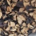 陈皮