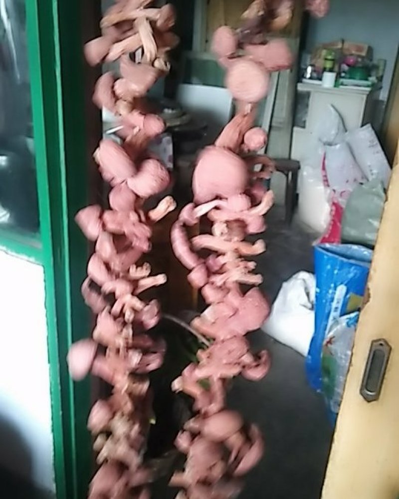2026精品红蘑小蘑菇，卖完，需要的联系我吧