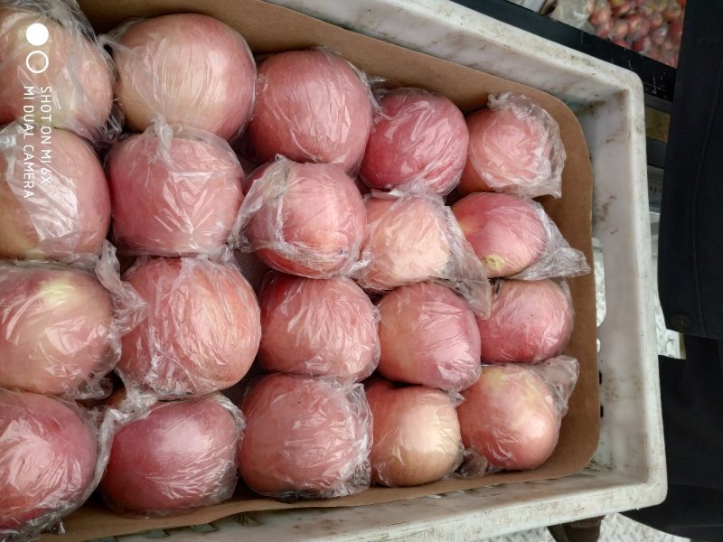 夏县红富士纸加膜苹果