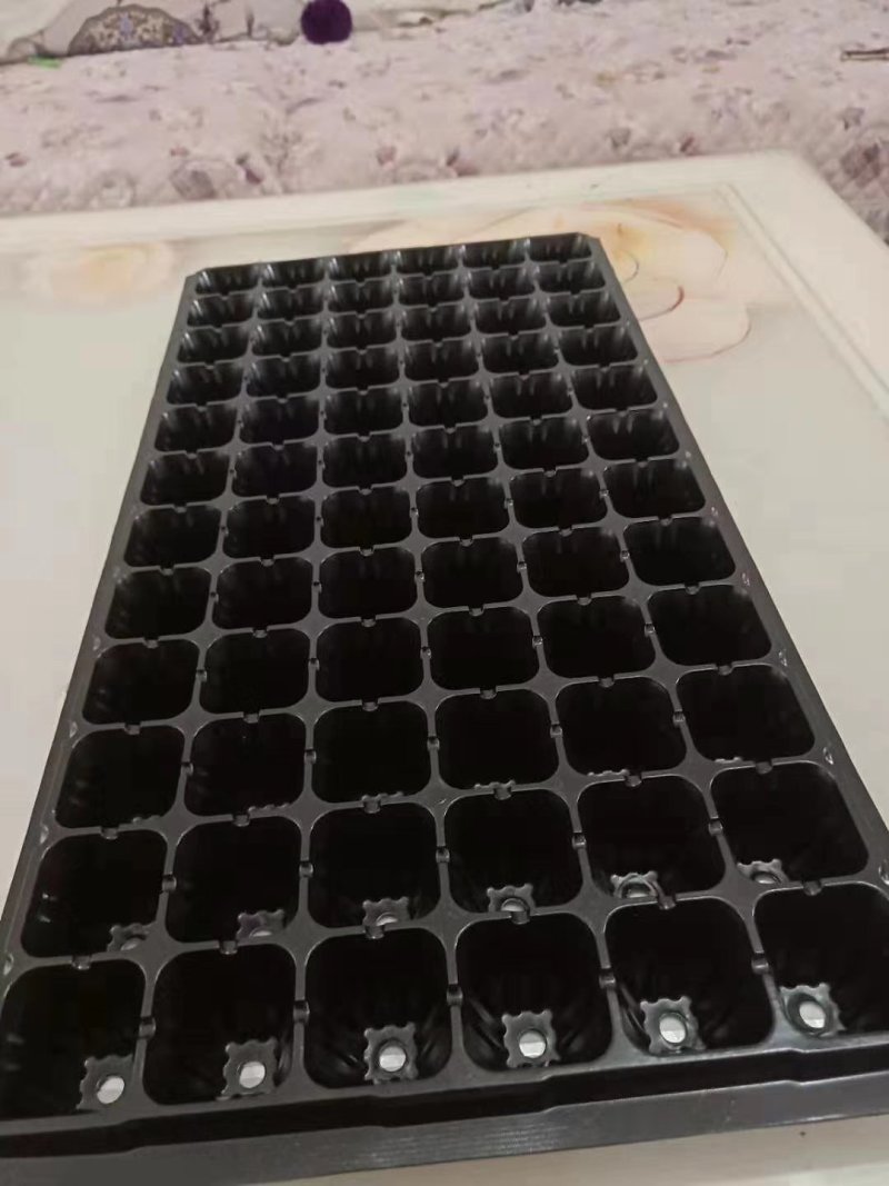 育苗穴盘，花苗，蔬菜水果穴盘标准穴盘全国包邮